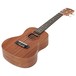 Freshman UKCONSAP Concert Ukulele, Sapele - right