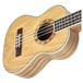 Freshman Tenor 8-String Electro Ukulele, Ash - body