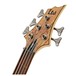 ESP LTD B-205 5-String SM Fretless Bass, Natural Satin head