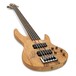 ESP LTD B-205 5-String SM Fretless Bass, Natural Satin angle