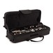 Elkhart 100ECL Eb Soprano Clarinet, Case