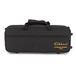 Elkhart 100ECL Eb Soprano Clarinet, Case