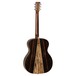 Tanglewood TWJFS Exotic Java Folk Acoustic, Natural Gloss - back