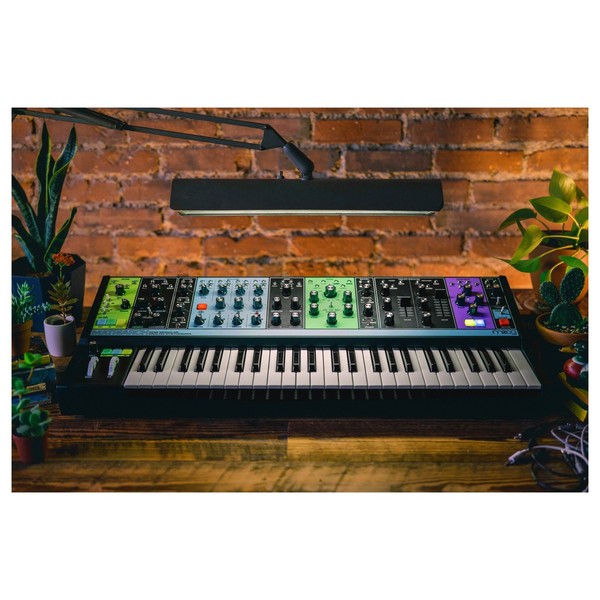 Moog Matriarch life style