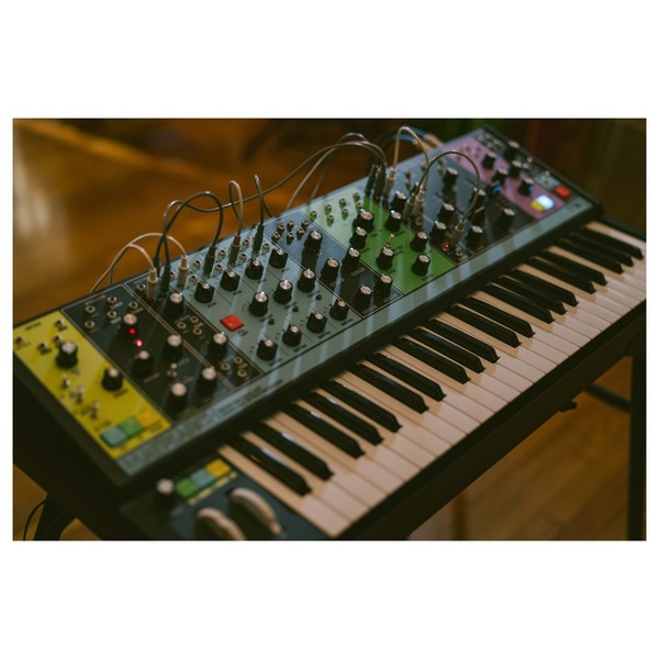Moog Matriarch artist shot 