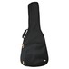 Tanglewood OGBC2 Coda Classical Gig Bag - Front View
