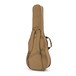 Taylor Academy 12 Grand Concert Acoustic Left Handed case back