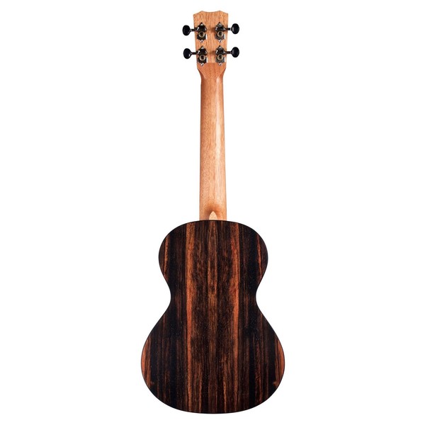 Cordoba 21C Concert Ukulele, Spruce/Striped Ebony - Rear View