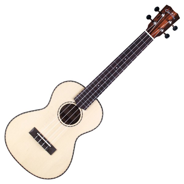 Cordoba 21T Tenor Ukulele, Spruce/Striped Ebony - Front View