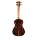 Cordoba 21T Tenor Ukulele, Spruce/Striped Ebony - Rear View