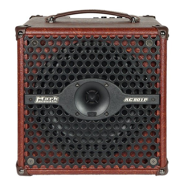 DV Mark AC 801 P Acoustic Combo