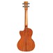 Cordoba 25T-CE Tenor Electro Ukulele, Acacia - Rear View