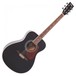 Vintage V300 Folk Acoustic Outfit, Black