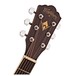 Washburn Heritage D10S Acoustic, Natural