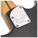 Fender The Edge Stratocaster, Blackback close