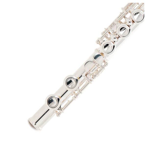 Trevor James TJ5X Student Flute