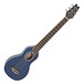 Washburn Rover RO10 Acoustic, Trans Blue main