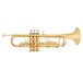 Student trumpet, trąbka dla początkujących marki Gear4music, złota