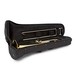 Bach TB650 Bb/C Children's Trombone Outfit case open