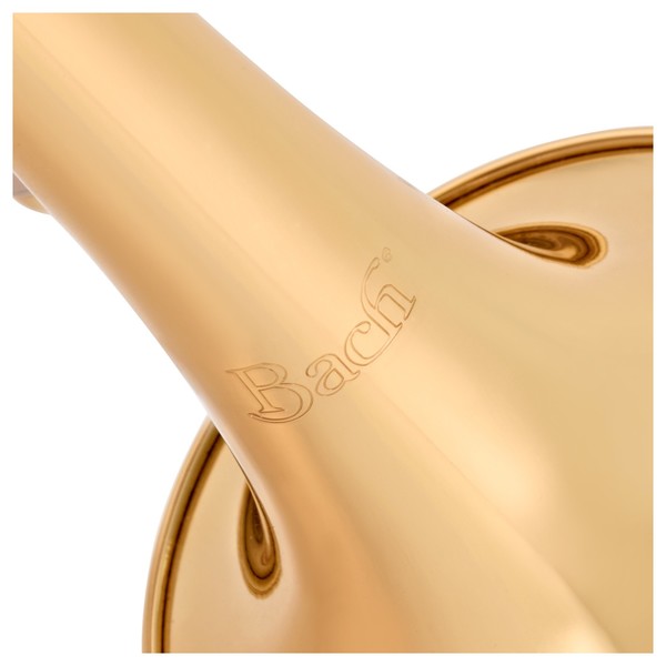 Bach CR651 Bb Cornet Outfit, Lacquer logo