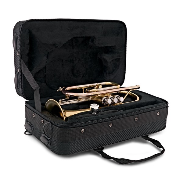 Bach CR651 Bb Cornet Outfit, Lacquer case open