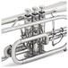 Bach CR651S Bb Cornet Outfit, Silver Plate