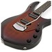 Music Man John Petrucci Majesty, Tiger Eye