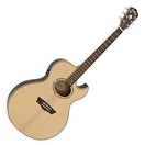 Washburn Festival EA20S Nuno Bettencourt Electro Acoustic, Natural
