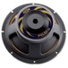 Celestion PULSE10 8 Ohm Speaker - slant