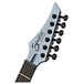 Line 6 Shuriken SR250 Variax, Metallic Silver head