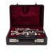 Buffet RC Prestige Bb Clarinet, 442Hz - Ex Demo, Case
