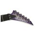 Jackson PRO SL2Q Soloist, Purple Phase - headstock