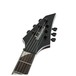 Jackson SCX Monarkh, Zebrawood - headstock