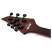 Jackson SCX Monarkh, Zebrawood - headstock back