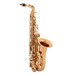 Keilwerth MKX Alto Saxophone, Gold Lacquer main