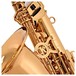 Keilwerth MKX Alto Saxophone, Gold Lacquer close side