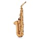 Keilwerth MKX Alto Saxophone, Gold Lacquer back