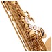 Keilwerth MKX Alto Saxophone, Gold Lacquer keys