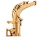 Keilwerth MKX Alto Saxophone, Gold Lacquer top