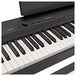 Casio PX 160 Digital Piano Package, Black