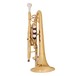 Trevor James Renaissance TJCT4500 Cornet, Lacquer 