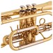 Trevor James Renaissance TJCT4500 Cornet, Lacquer keys