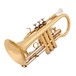 Trevor James Renaissance TJCT4500 Cornet, Lacquer angle