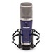SubZero SZC-600 USB Condenser Microphone