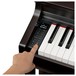 Kawai CN29 Digital Piano, Premium Rosewood, Buttons