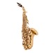 Yanagisawa SCWO10 Soprano Saxophone, Gold Lacquer