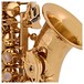 Yanagisawa SCWO10 Soprano Saxophone, Gold Lacquer logo