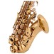 Yanagisawa SCWO10 Soprano Saxophone, Gold Lacquer close