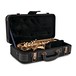 Yanagisawa SCWO10 Soprano Saxophone, Gold Lacquer case open