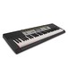 Casio LK 135 Portable Keylighting Keyboard, Black